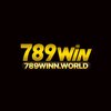 Avatar of 789WINN WORLD