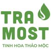 Avatar of Tra Most