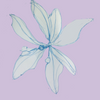 Avatar of 1queenoftheflowers