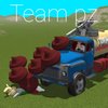 Avatar of Team pz