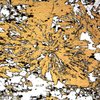 Avatar of hbosbyshell
