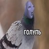 Avatar of rummmmmka