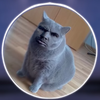 Avatar of anyda