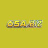 Avatar of 65A biz