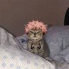 Avatar of mtwilight3