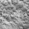 Avatar of MycologicaCharles