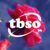 Avatar of Tabbuso