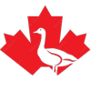 Avatar of Crazy Canadian