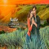Avatar of novelassd