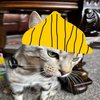 Avatar of bigmanilleatu123