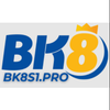 Avatar of BK8
