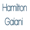 Avatar of HamiltonGaiani1