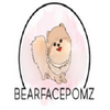 Avatar of bearfacepomz5