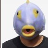 Avatar of Masked_fish