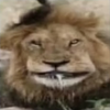 Avatar of EPIkFn