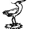 Avatar of yjws21