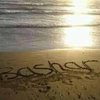 Avatar of Bashar.Korajy