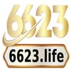 Avatar of 6623 life