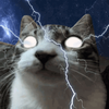 Avatar of tylerk3231