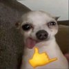 Avatar of adorbz