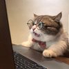 Avatar of ComputerCat2