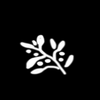 Avatar of Vicotr