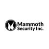 Avatar of Mammoth Security Inc. West Hartford