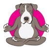 Avatar of FindYurInnerDog