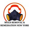 Avatar of Mold Removal & Remediation New York - Brooklyn