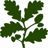 Avatar of National Trust, Devil's Dyke and Saddlescombe