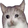 Avatar of Mazzpan