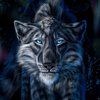 Avatar of FelisGlacialis