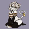 Avatar of kitt_thecalico