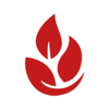 Avatar of Start with Fiber