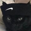 Avatar of bblotta
