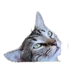 Avatar of latrova