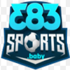 Avatar of 383sports