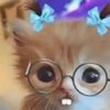Avatar of Gigi