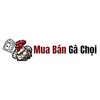 Avatar of Muabangachoi