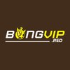Avatar of Bongvip