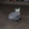 Avatar of datpro4k