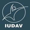 Avatar of IUDAV