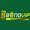 Avatar of Bongvip