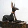 Avatar of five4974
