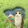 Avatar of Meowl kidcore