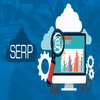 Avatar of Best Seo Company in NY