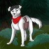 Avatar of RailerTheRailwayDog