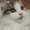 Avatar of coijdcuh