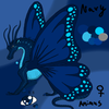 Avatar of Bluenavy1st