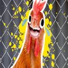 Avatar of ChicknBoyo